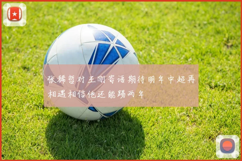 张稀哲对王刚寄语期待明年中超再相遇相信他还能踢两年