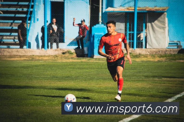 IM体育发展历程