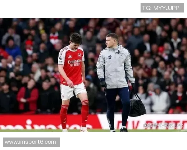 阿尔特塔确认萨利巴缺阵赖斯与卡拉菲奥里有望出战布莱顿 阿尔特塔确认萨利巴缺阵赖斯与卡拉菲奥里有望出战布莱顿